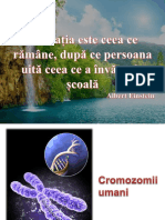 Cromozomii Umani ROMa-76261 PDF