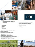 Soci Sector Trabajos PDF