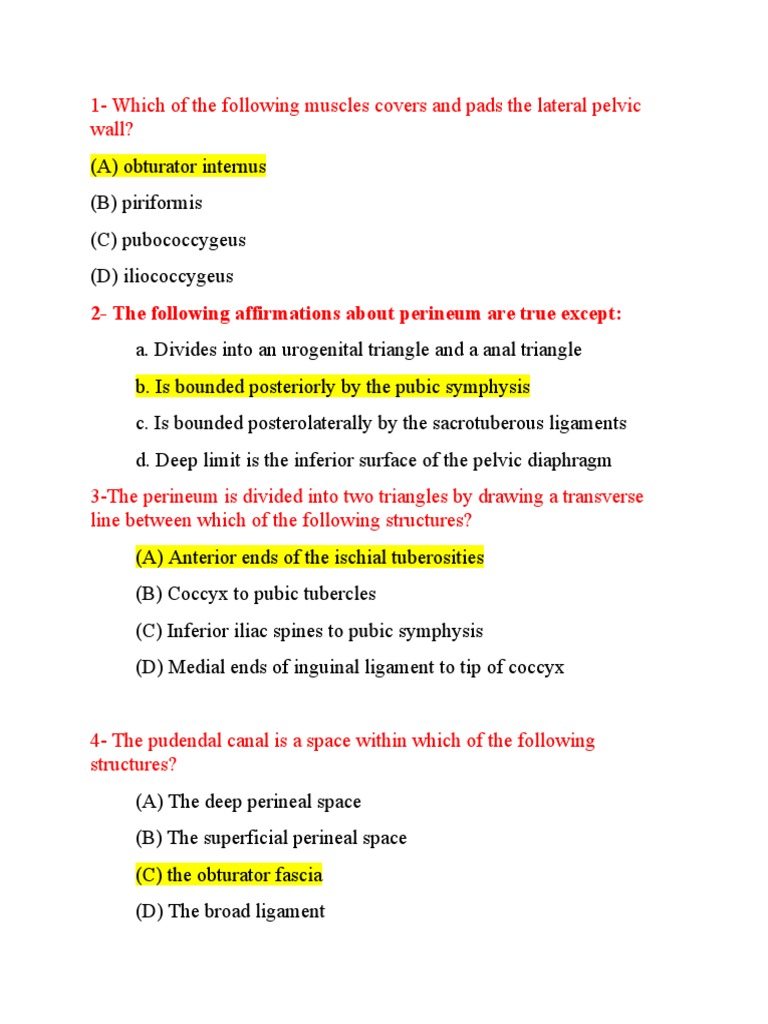 MCQ Perineum PDF Pelvis Anatomy