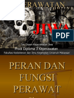 Peran Dan Fungsi Perawat Jiwa