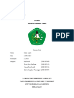 Laporan Pratikum Genetika Imitasi Perbandingan Genetis