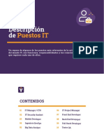Descripción Puestos IT PDF