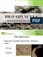 Aula 5 - Filo Sipuncula