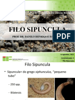 Aula 5_Filo Sipuncula.pptx