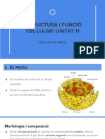 Unitat 11 PDF