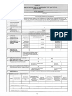 RESUMEN EJECUTIVO_20230127_170900_882.pdf