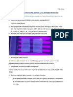 Biomol - Memoria Práctiques