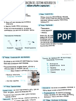 Exploración Del Sistema Nervioso en Extremidades Inferiores PDF