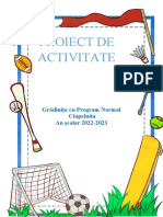 Proiect DPM