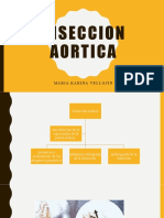 Diseccion Aortica