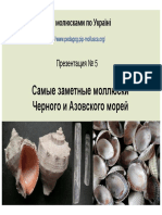 pres_5_rus.pdf