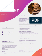 Juan Viviant CV PDF