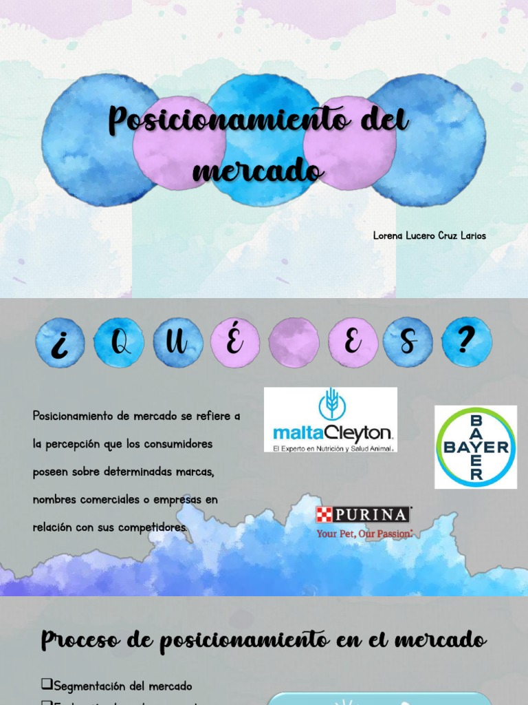 Estrategias de Posicionamiento en el Mercado | PDF