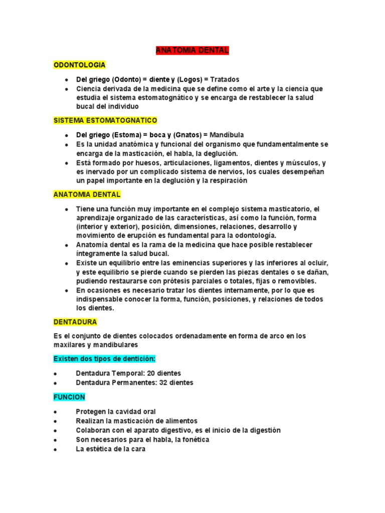 Anatomia Dental Pdf Diente Odontología