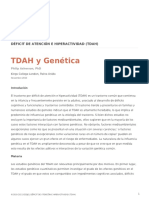TDAH Y-Genética