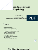 Cardiac Anatomy Lecture MS