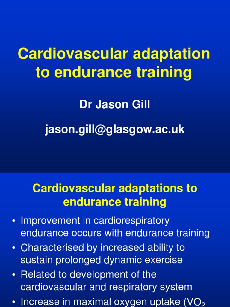 Cardiovascular Adaptation To Endurance Training PDF PDF Blood Pressure Heart