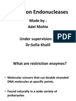 Restrictionenzymes-1