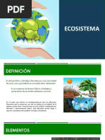 Organizador Gráfico de Ecosistemas | PDF