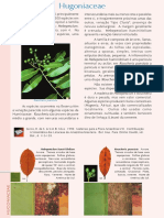 PFRD 1999 Hugoniaceae PDF