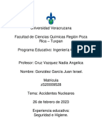 Accidentes Industriales - González - Juan PDF