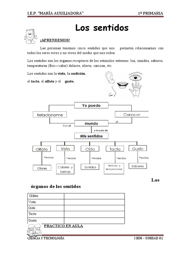 Cuidado de los 5 sentidos para niños | PDF
