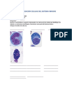CARACTERIZACION CELULAS DEL SISTEMA INMUNE Ejercicio 1
