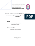 Proyecto de Investigacion Final - Farro y Lozano para Exponer PDF