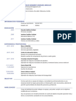 CVGerardoVasquez PDF