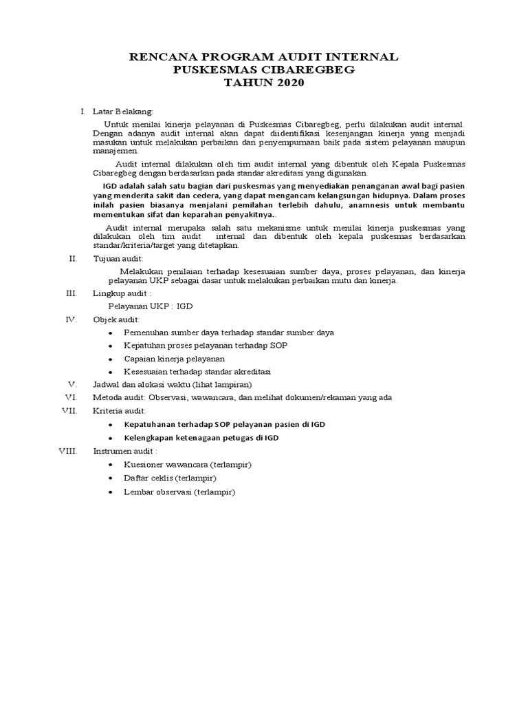 Rencana Audit Internal Puskesmas 2020 | PDF