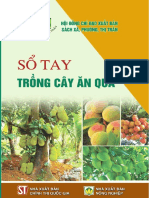 Sổ Tay Trồng Cây Ăn Quả (Nguyễn Mạnh Chinh) thuviensach.vn