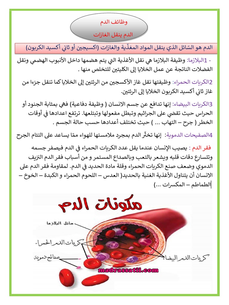 وظائف الدم الدم ينقل الغازات خلاصة madrassatii.com - | PDF