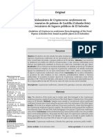 Mpenabad, 06-MS21-55-FUNES ET AL-AISLAMIENTO DE CYPTOCOCCUS