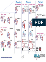 Cardiovascular Pathology - 020) Aortic Valve Stenosis and Regurgitation (Illustrations - Handout)