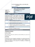 DAVILA PERALTA RICARDO, Informe 2 de Acuacultura II Camaron