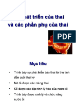 Su Phat Trien Cua Thai Va Phan Phu Cua Thai