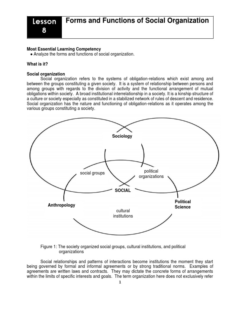 analyzing-the-forms-and-functions-of-social-organization-social-groups