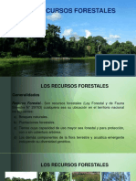 El Recurso Forestal (S-1)