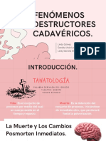 Fenómenos Destructores Cadavéricos.: Linda Gómez Daniela Urán Londoño Leidy Daniela Ortiz Rosero