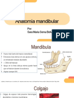 Irrigacion Mandibular 2