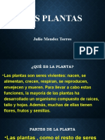 Las Plantas