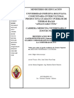 IDENTIFICACIÓN DE PARÁSITOS GASTROINTESTINALES (Nematodos) en Ovino