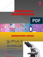 Microscopía e Interpretación