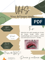 Virus Del Herpes Simple