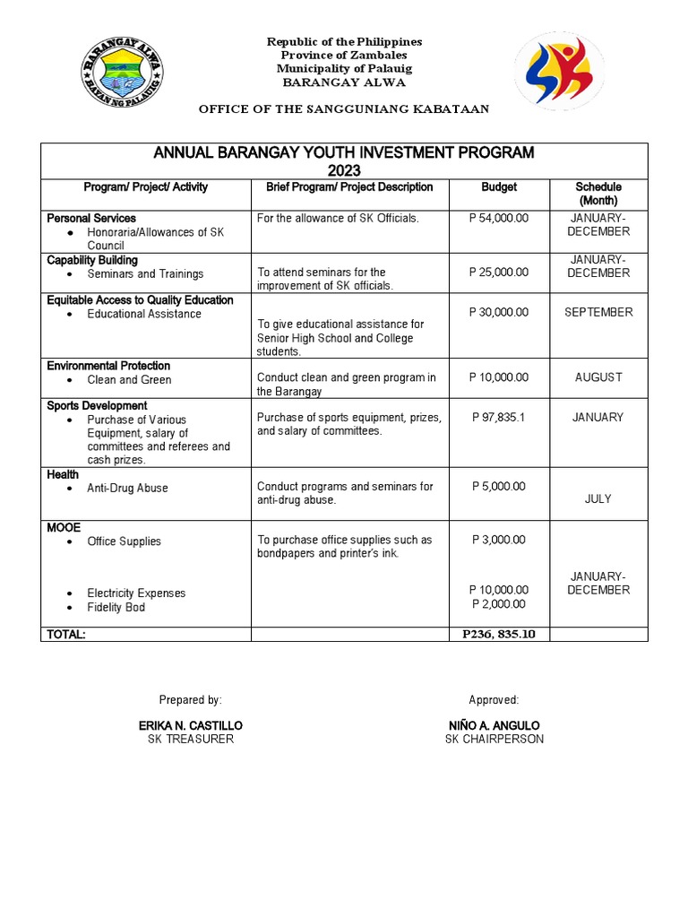 2023 Barangay Youth Investment Plan | PDF