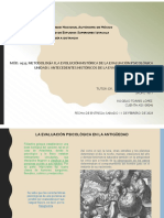 Torres Actividad1 PDF