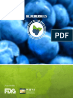 Blueberries PDF