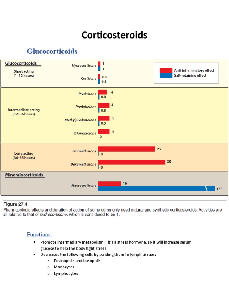 Corticosteroids PDF Cortisol Adrenal Gland