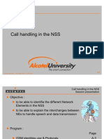 Call Handling in the NSS
