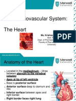 Human Anatomy and Physiology 